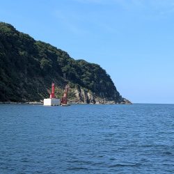 キスが釣れないので